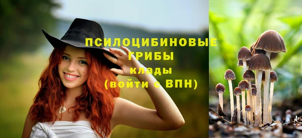 сатива Дмитриев