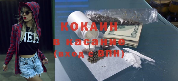 сатива Дмитриев
