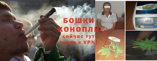 сатива Дмитриев