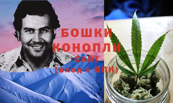 индика Елабуга