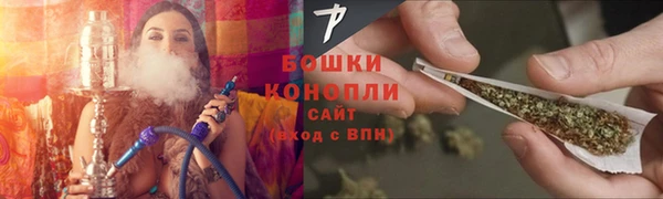 СК Дмитров