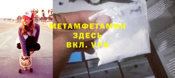 индика Елабуга
