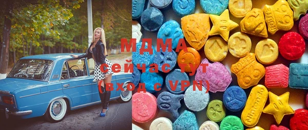индика Елабуга