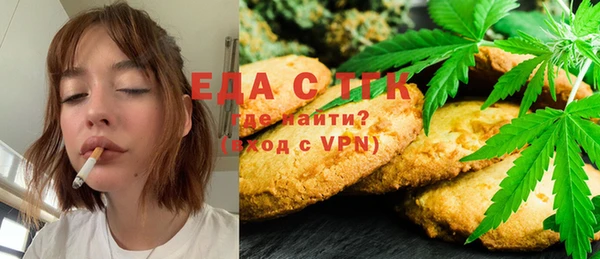 индика Елабуга