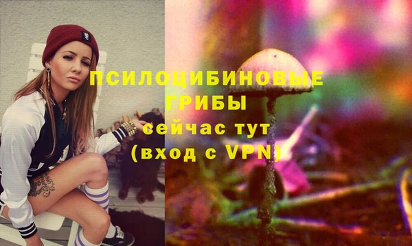 mdma Дмитровск