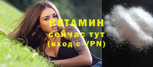 СК Дмитров