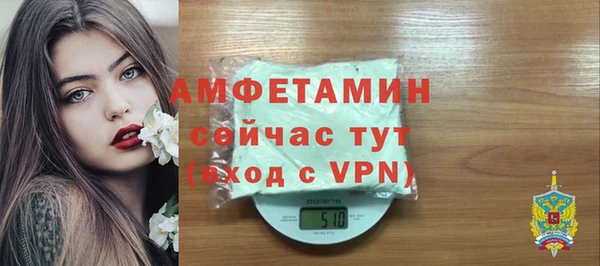 сатива Дмитриев