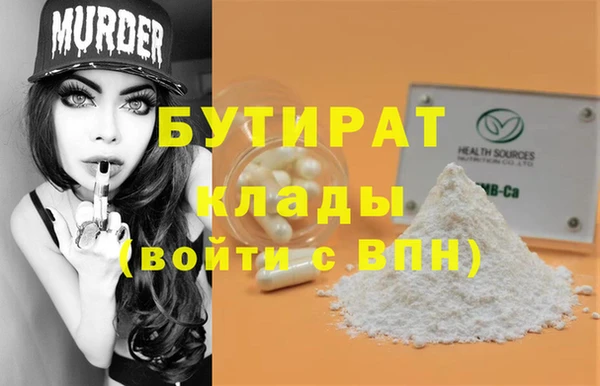 индика Елабуга