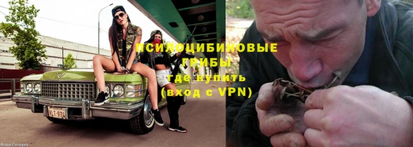 СК Дмитров
