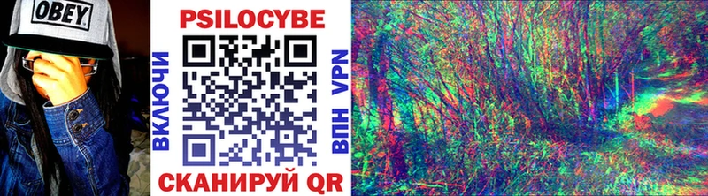 Псилоцибиновые грибы Psilocybe  Купить где  Горнозаводск 